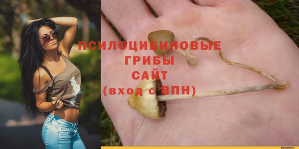прущие крисы Баксан