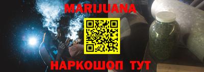 шишки Бийск