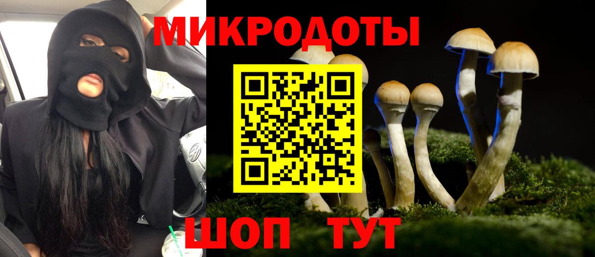 Борисоглебск  Галлюциногенные грибы Magic Shrooms  Галлюциногенные грибы GOLDEN TEACHER  что такое наркотик  Вход с VPN 
